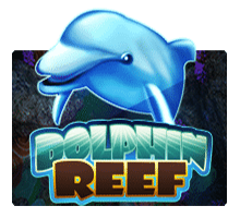 Dolphin Reef