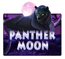 PANTHER MOON